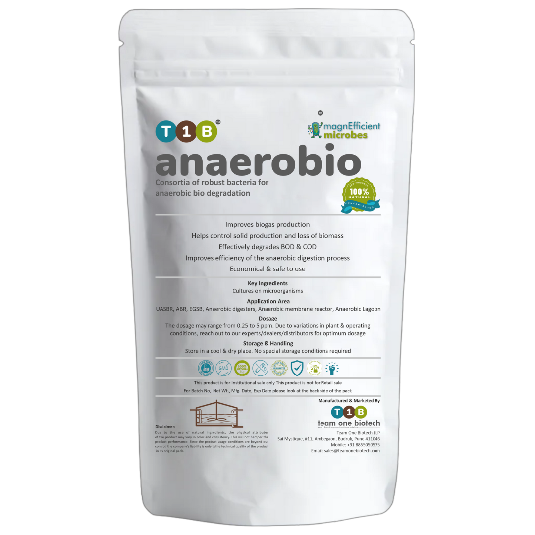 T1B Anaerobio