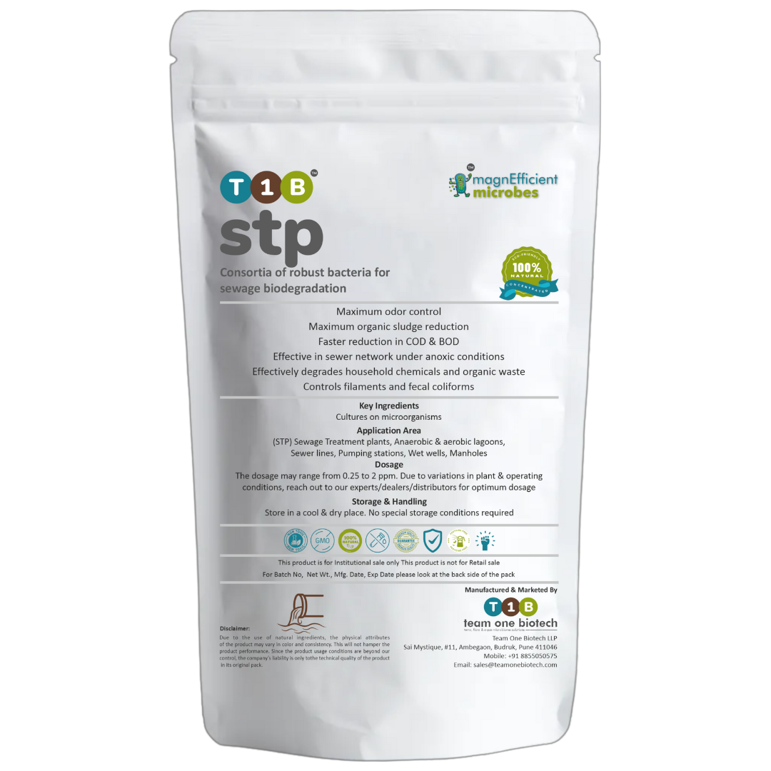 T1B STP